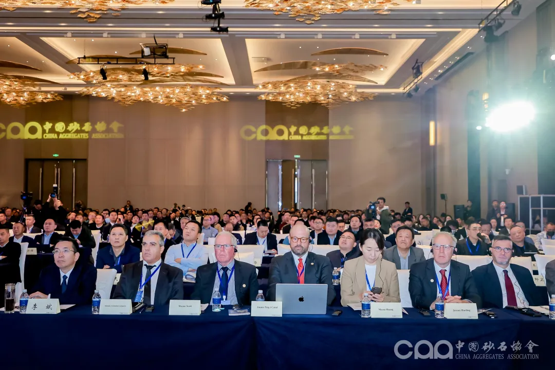 主旨報(bào)告 | 胡幼奕以國際化視角，提出固廢綜合利用和生態(tài)環(huán)境修復(fù)新思路